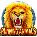RTP CQ9 hasianbet168
